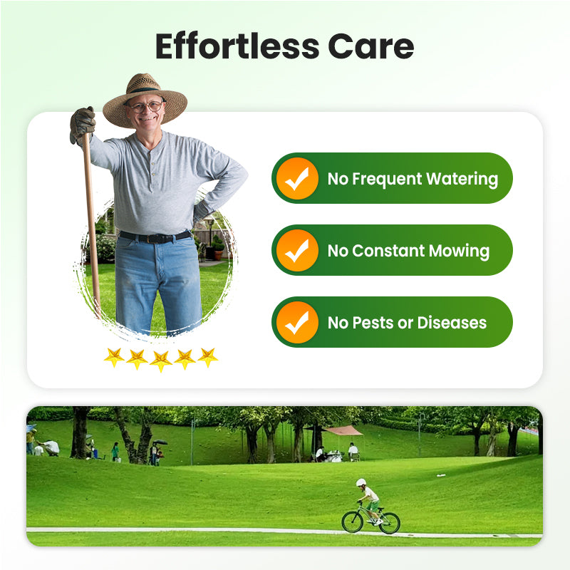 🔥Grass Seeds for Lawn and Golf Course