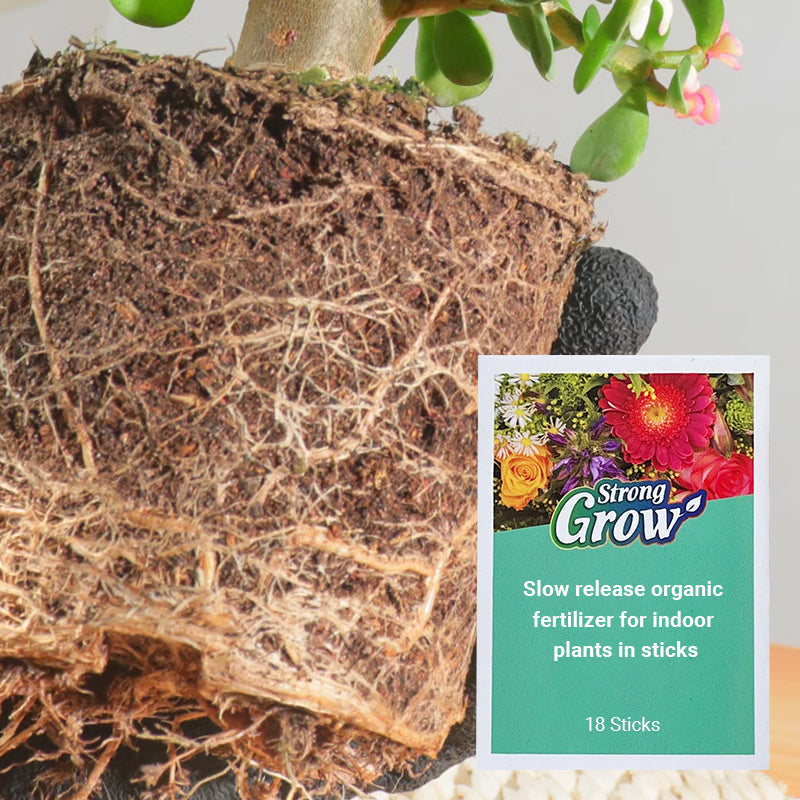 💥Last Day Promotion 49%OFF💥 Slow-Release Organic Fertilizer In Stick Form For Indoor Plants(BUY 5 GET 10 FREE)