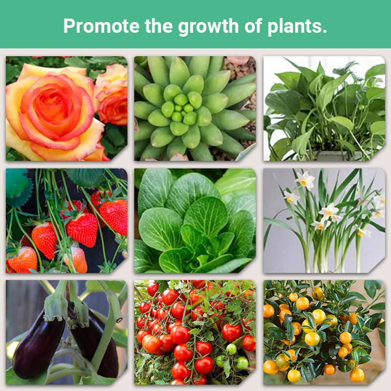 💥Last Day Promotion 49%OFF💥 Slow-Release Organic Fertilizer In Stick Form For Indoor Plants(BUY 5 GET 10 FREE)