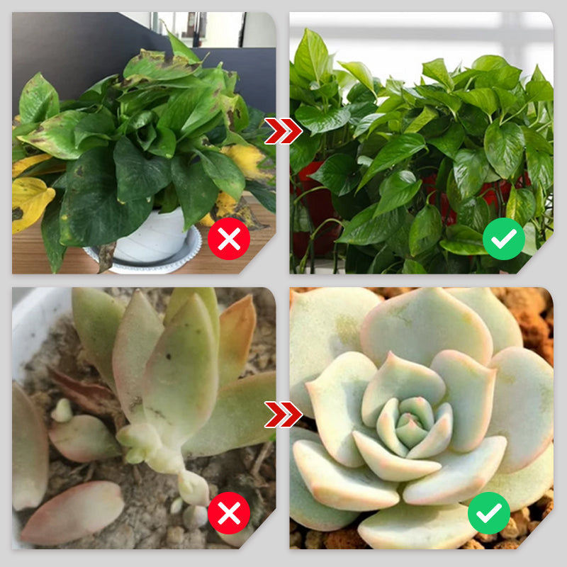 💥Last Day Promotion 49%OFF💥 Slow-Release Organic Fertilizer In Stick Form For Indoor Plants(BUY 5 GET 10 FREE)