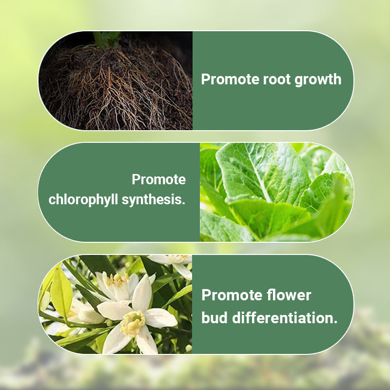 💥Last Day Promotion 49%OFF💥 Slow-Release Organic Fertilizer In Stick Form For Indoor Plants(BUY 5 GET 10 FREE)