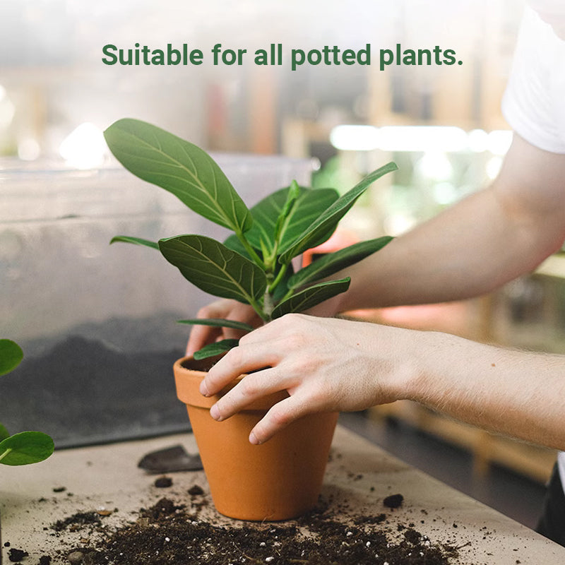 💥Last Day Promotion 49%OFF💥 Slow-Release Organic Fertilizer In Stick Form For Indoor Plants(BUY 5 GET 10 FREE)