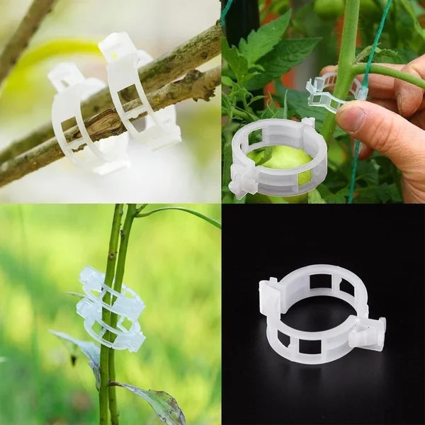💥2024 Hot Sale 49% OFF💥 Secured Plastic Plant Clip(BUY 3 GET 2 FREE)