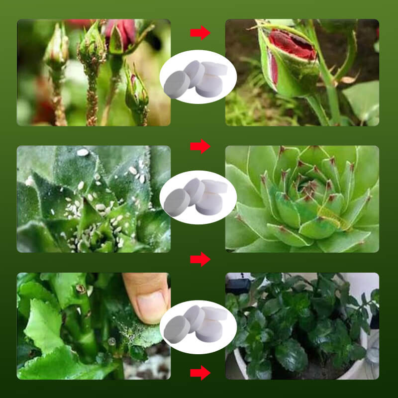 Plant Flower Insect Repellent Tablet(BUY 3 GET 5 FREE)
