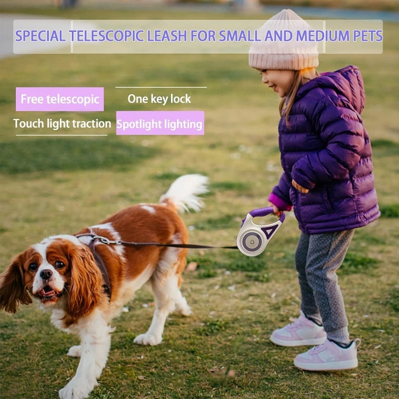 Luminous lead for pets
