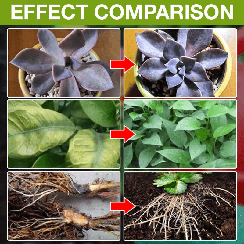 š„Last Day Promotion 49% OFFš„ Plant Growth Enhancer Supplementļ¼BUY 1 GET 1 FREEļ¼
