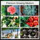 Compressed Nutrient Soil