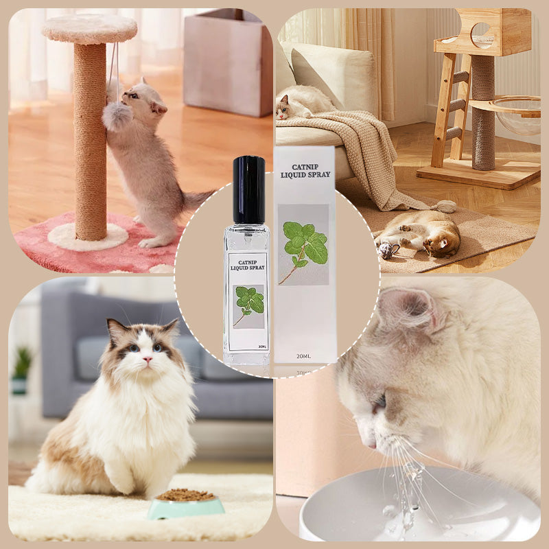 Catnip Liquid Spray - Safe, Pure, and Potent
