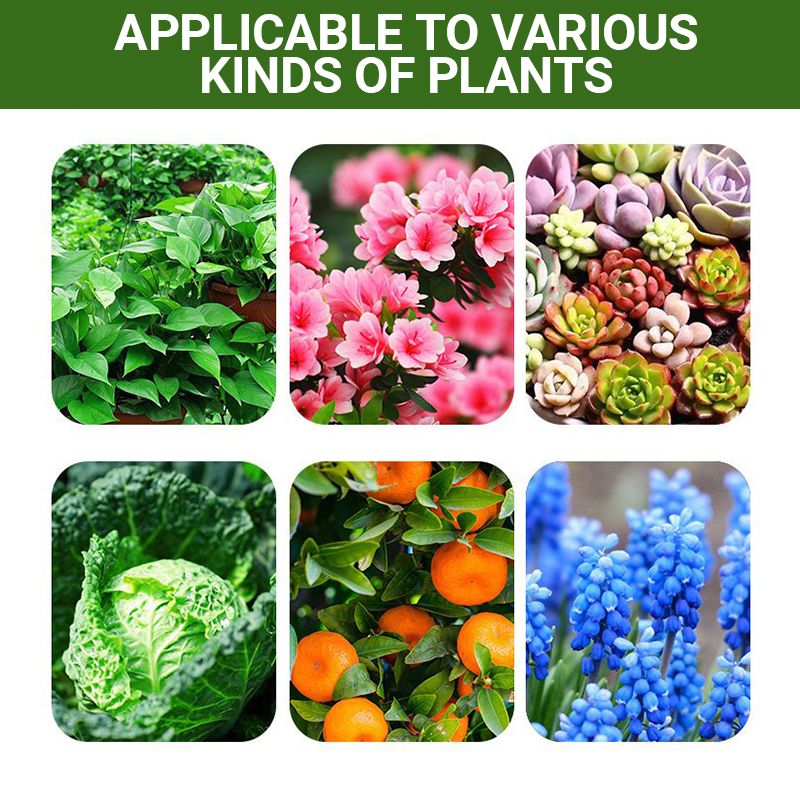 Detroit® Special Bone Meal Organic Fertilizer - Promote The Growth of Flowers and Fruits