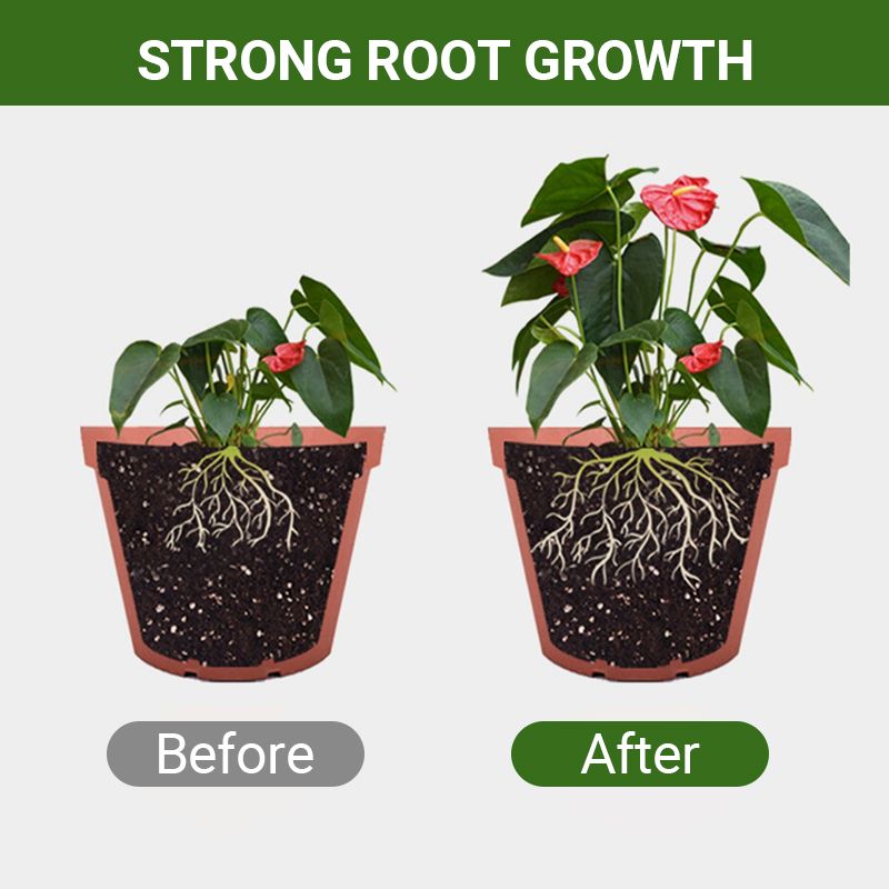 Detroit® Special Bone Meal Organic Fertilizer - Promote The Growth of Flowers and Fruits