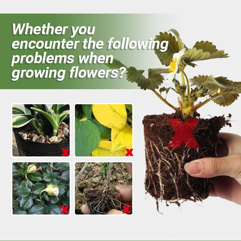 Detroit® Special Bone Meal Organic Fertilizer - Promote The Growth of Flowers and Fruits