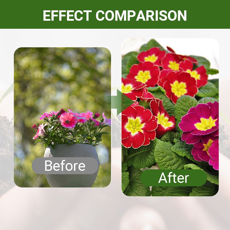 Detroit® Special Bone Meal Organic Fertilizer - Promote The Growth of Flowers and Fruits