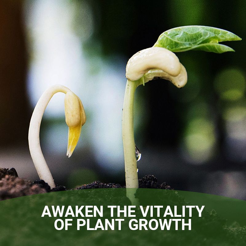 Detroit® Special Bone Meal Organic Fertilizer - Promote The Growth of Flowers and Fruits
