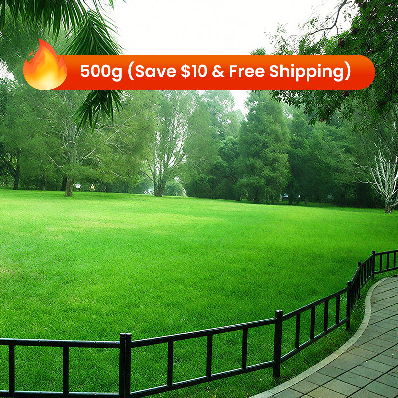 🔥Grass Seeds for Lawn and Golf Course
