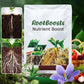 ✨Buy 5 Get 5 Free  Plant Hair Root Growth Nutrition Powder