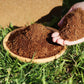 🎁Hot Sale 🌱Organic Coconut Coir for Plants