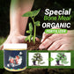 Detroit®Special Bone Meal Organic Fertilizer - Promote The Growth of Flowers and Fruits🔥