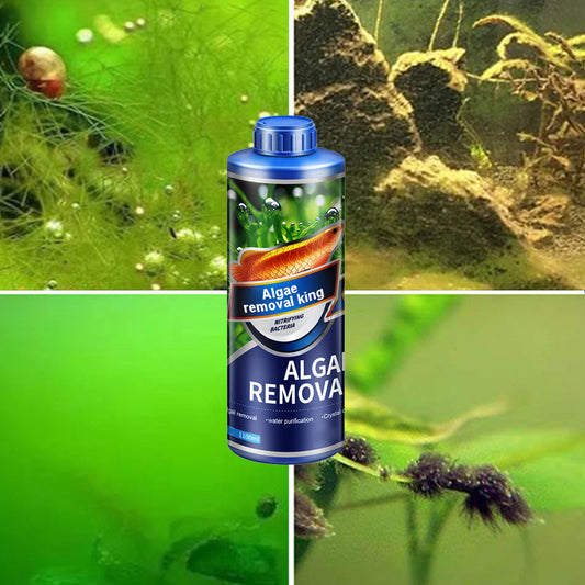 🔥Hot sale🔥(54% discount)Crazy Aquatic weed algae remover for algae king