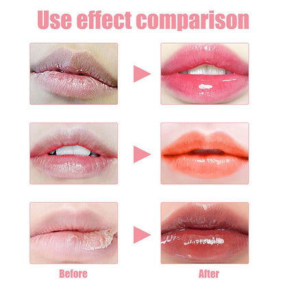 Moisturizing Long-Lasting Lip Oil