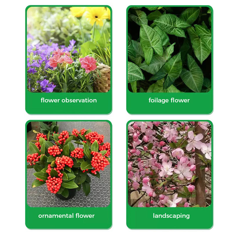 🌱 50% OFF - Rapid Bloom Booster Powder | Fast Root Growth + Bigger Flowers!🌸