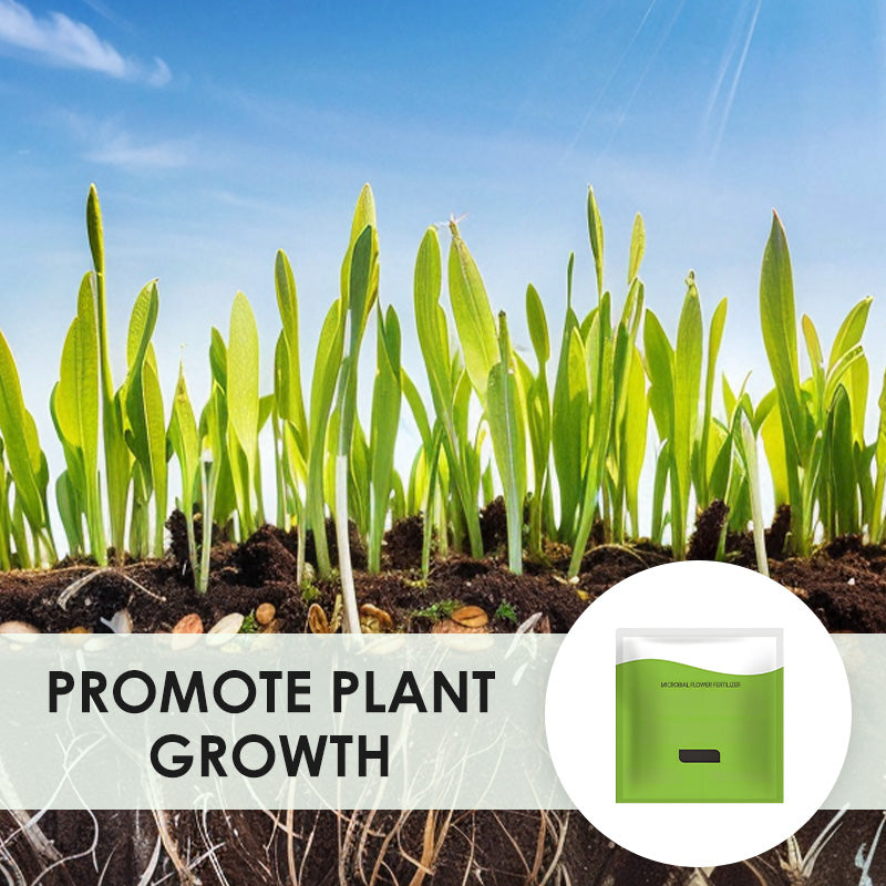 Microbial Floral Organic Fertilizer