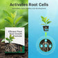 Root Growth Promoting Powder