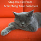 Anti-cat Scratching Sofa Protector (2pcs with 10 pins)