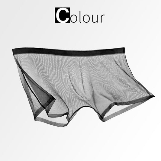 Ice Silk Sexy Mesh Full Transparent Boxer Shorts