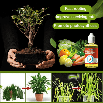 💥Last Day Promotion 49% OFF💥 Plant Growth Enhancer Supplement（BUY 1 GET 1 FREE）