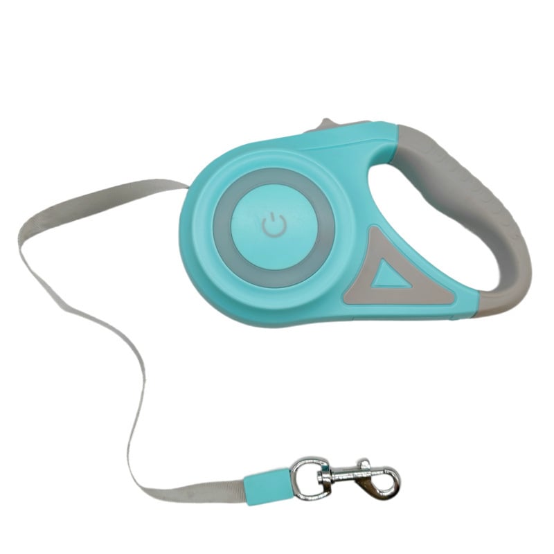 Luminous lead for pets