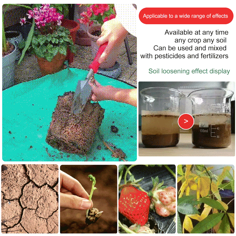 🔥Hot Sale🔥Soil Activated Treasure-You Will Be Amazed!