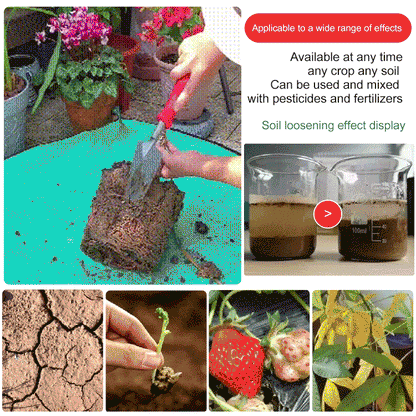 🔥Hot Sale🔥Soil Activated Treasure-You Will Be Amazed!