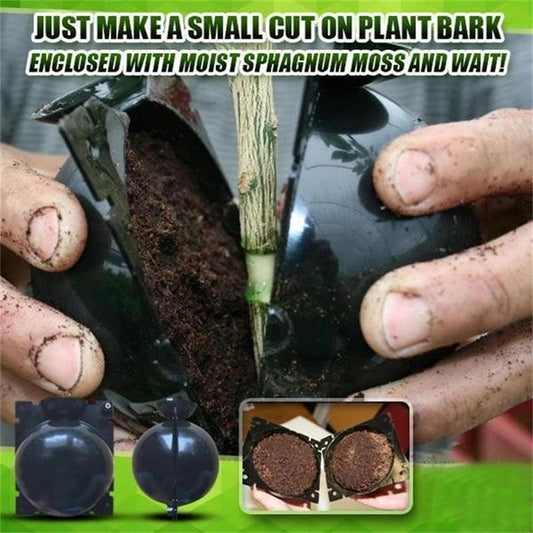 🌱Plant Root Growing Box
