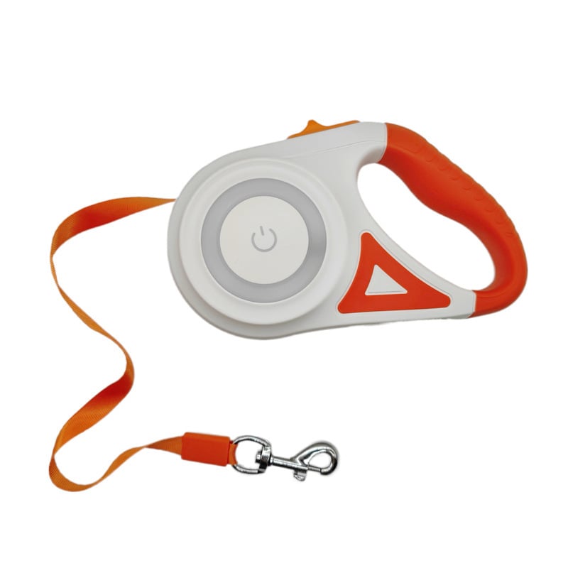 Luminous lead for pets