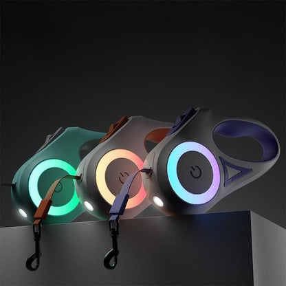 Luminous lead for pets