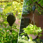 🌸Last Day 49% 0FF🌳Plant Pulley Set For Garden Baskets Pots, Birds Feeder