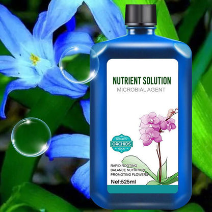 🔥🔥Flower concentrated nutrient solution