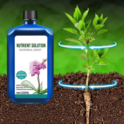 🔥🔥Flower concentrated nutrient solution