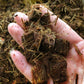 Small coconut shell brick nutrient soil