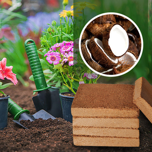 🔥Best Selling Gardening Soil🔥Organic Coconut Coir for Plants