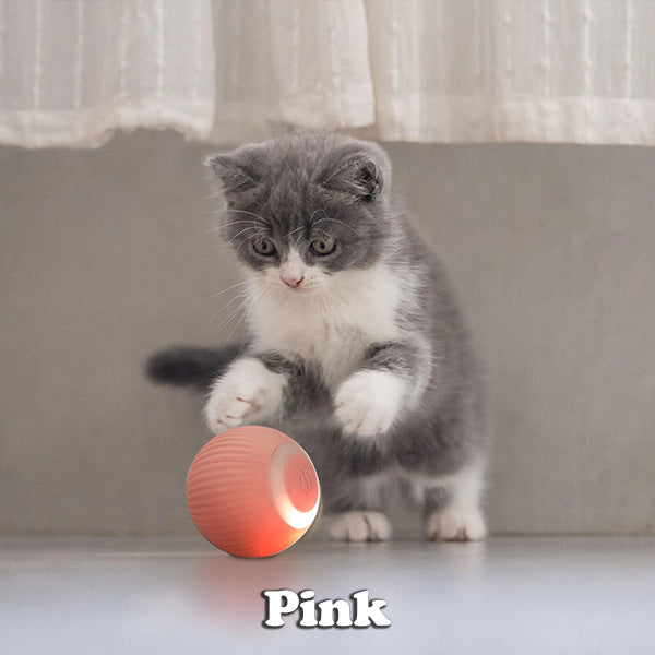 BUY 1 GET 1 FREE🔥The Smart Kitty Ball
