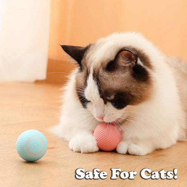 BUY 1 GET 1 FREE🔥The Smart Kitty Ball