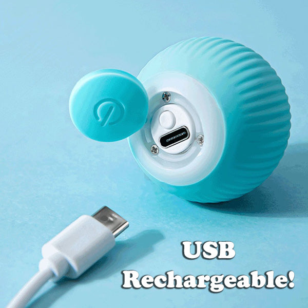 BUY 1 GET 1 FREE🔥The Smart Kitty Ball