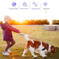 Luminous lead for pets