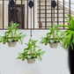 🌸Last Day 49% 0FF🌳Plant Pulley Set For Garden Baskets Pots, Birds Feeder
