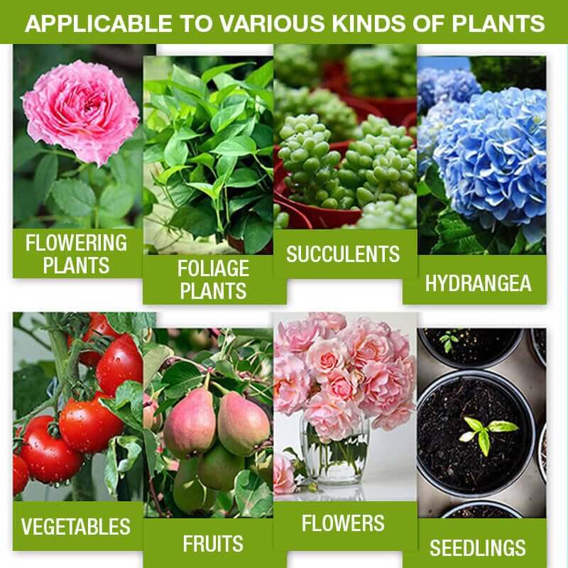 💥Last Day Promotion 49% OFF💥 Plant Growth Enhancer Supplement（BUY 1 GET 1 FREE）