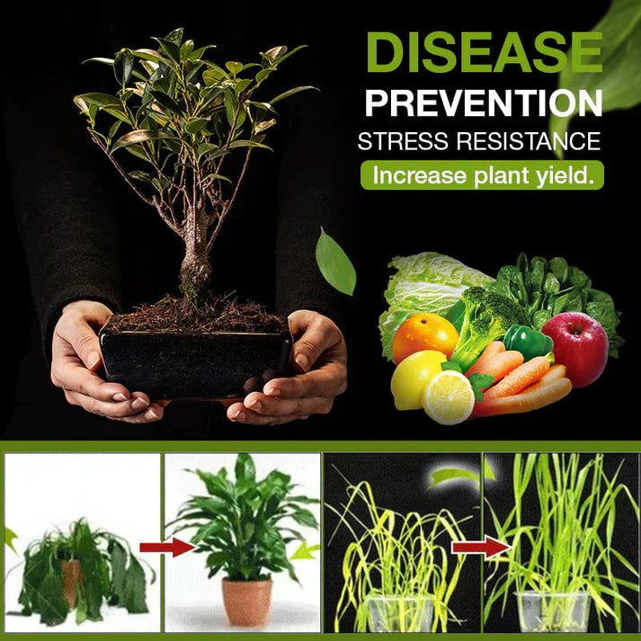 🔥Hot Sale🔥Soil Activated Treasure-You Will Be Amazed!