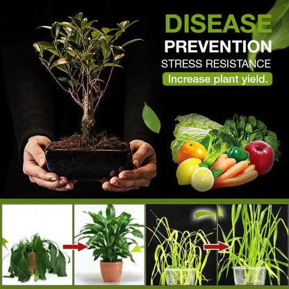 🔥Hot Sale🔥Soil Activated Treasure-You Will Be Amazed!