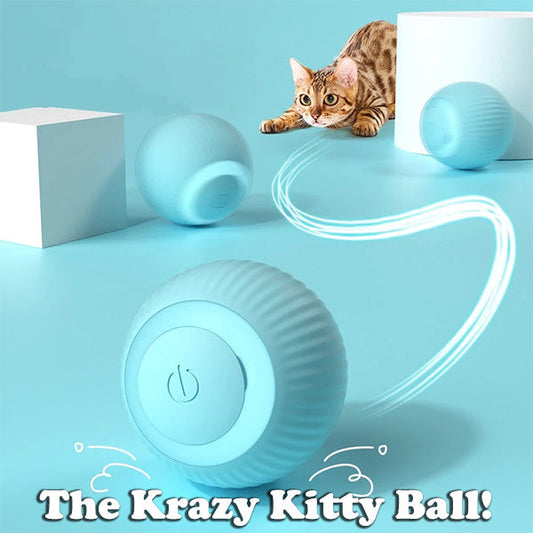 BUY 1 GET 1 FREE🔥The Smart Kitty Ball