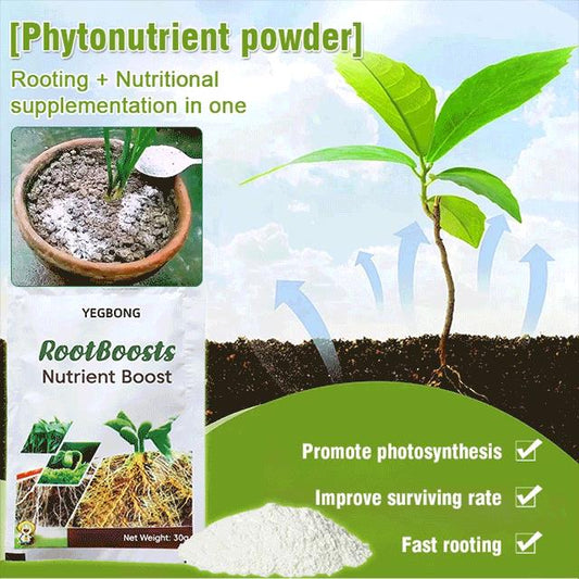 ✨Buy 5 Get 5 Free  Plant Hair Root Growth Nutrition Powder